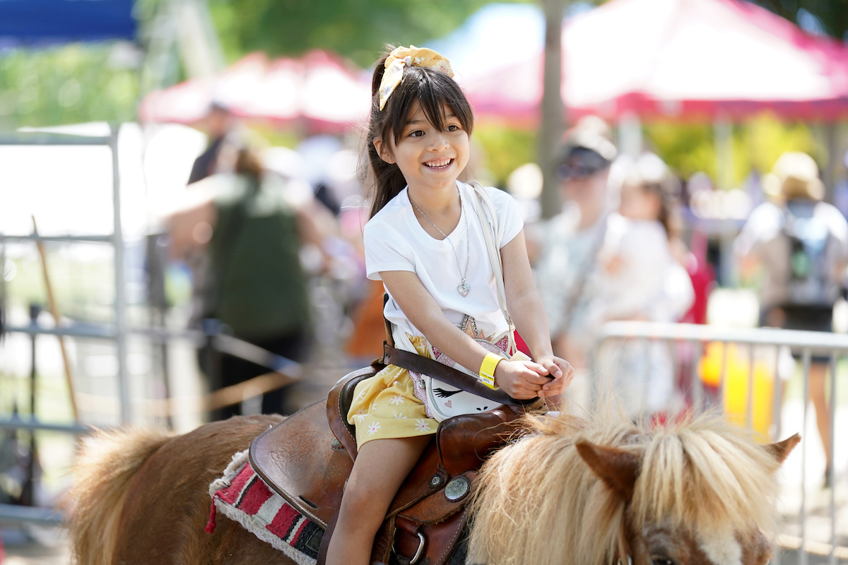 Little girl enjoying a pony ride